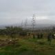 Morgendliche Aussicht