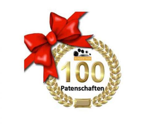 100.  Run2gether Patenschaft 3