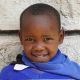 118 20170327 Primary Sision