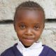 126 20170327 Primary Sision