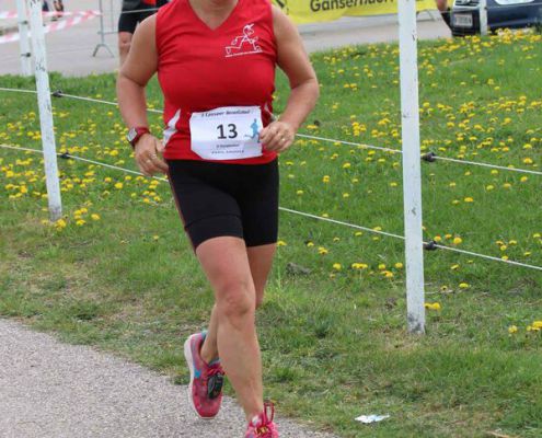 Patin Karin Kronika