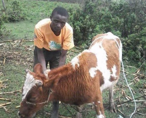 Peter Chege WANGARI