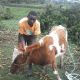 Peter Chege WANGARI