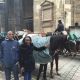 2016.03.19 21 Caroline Und Dennis In Wien Beim Sightseeing