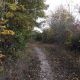 Waldweg Entlang Der Brünnertsraße