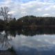 Lobau