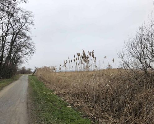 Foto 26.01.18, 11 46 05