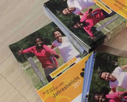 Der Jahresbericht 2017 Zum Gratis Downloaden