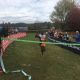 45374083 10214971603217904 468718667299815424 N