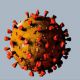 Corona Virus