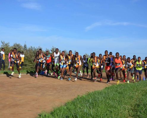 Start zum Halbmarathon Start Zum Halbmarathon