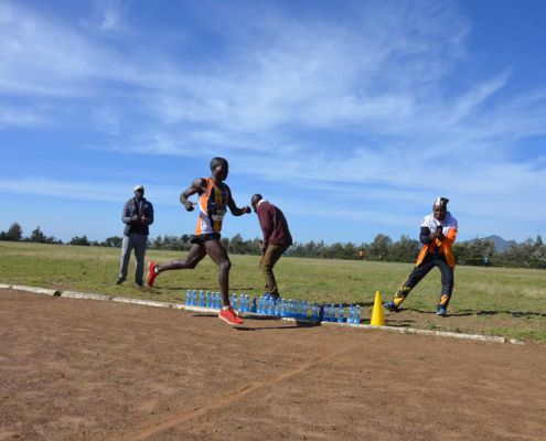 Simba gewinnt den Halbmarathon Simba Gewinnt Den Halbmarathon